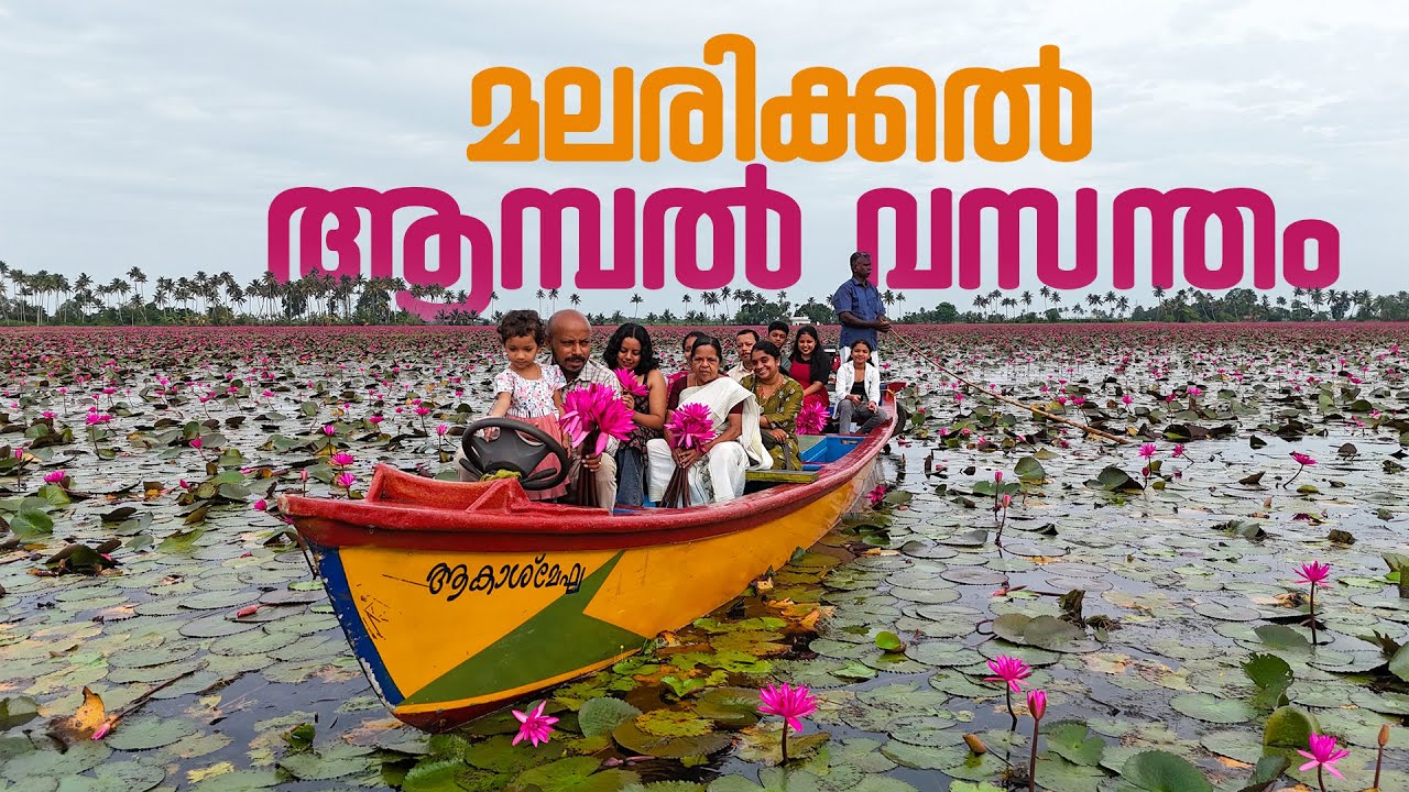 850 Acre Water Lily Field - Malarikkal  | Puthettu Travel Vlog |