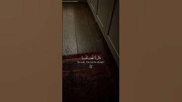 قال لا تخافا | تلاوة مؤثرة للقارئ محمد ديبيروف #تلاوة_خاشعة #محمد_ديبيروف#quran#حالات_واتس#لايك