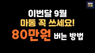 9월 공모주 청약 일정 | 총 18개 일정 | 최대 81만원 버는 방법