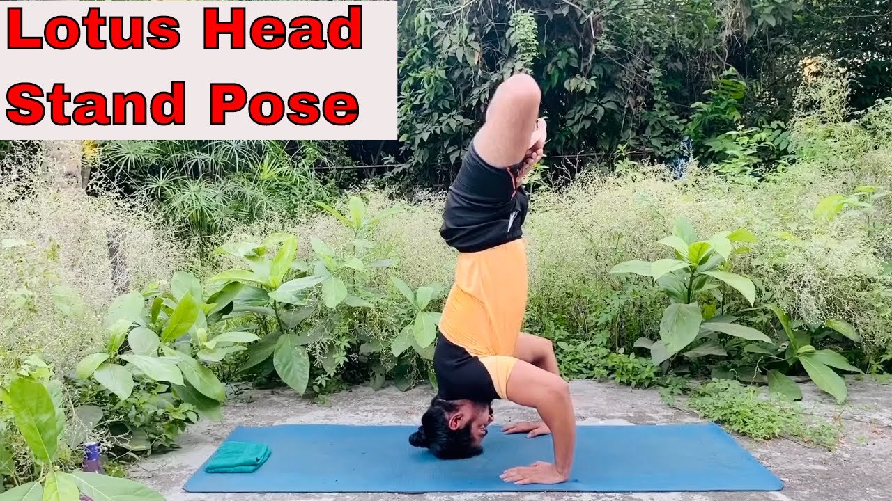 Lotus head stand pose advance yoga learn advance yoga with guidance