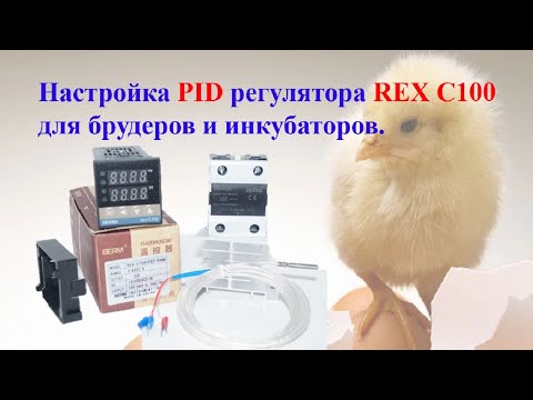 Видео: Настройка PID регулятора REX C100 для брудеров и инкубаторов. REX C100 dlya bruderov i inkubatorov