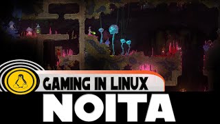 Noita on Linux | Ubuntu 20.04 | Steam Play