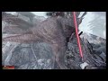 Primal Carnage Extinction: Full Gameplay Cyborg Pathfinder Part 11 (18 kills)