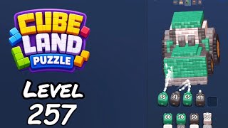 Cube Land Puzzle Level 257 Walkthrough