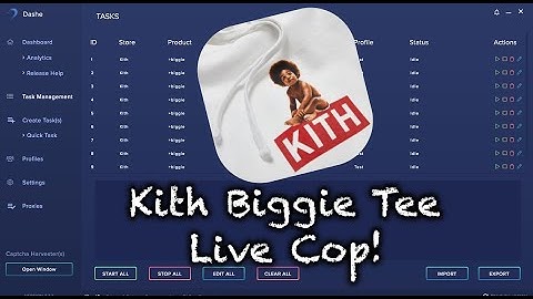 Dashe | Kith "Biggie Logo"|  Live Cop!