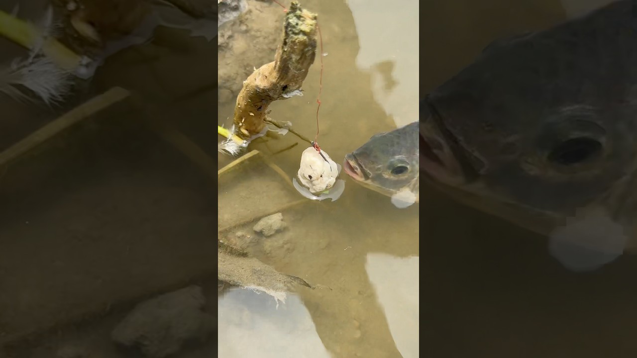 Rural villages fishing 