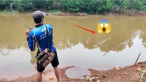 Câu cá lóc_Chiều muộn khu đặc biệt đụng mấy con hàng ghê thật @Hữunghị tv