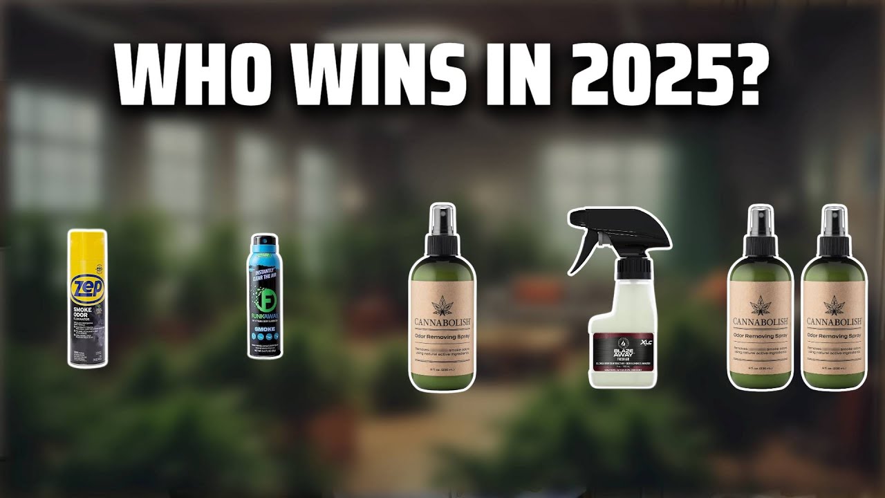 The Top 5 Best Odor Eliminator in 2025 - Must Watch Before Buying ...