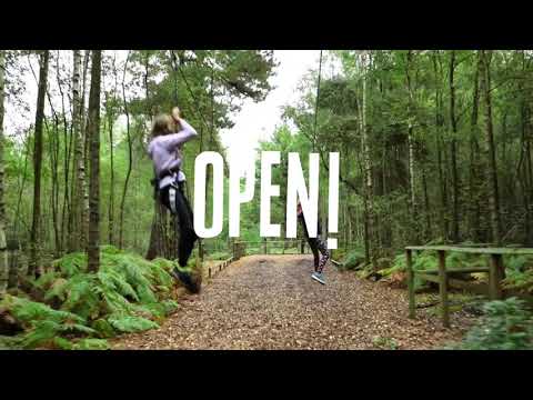Go Ape Delamere Updated 21 Info Visit Chester