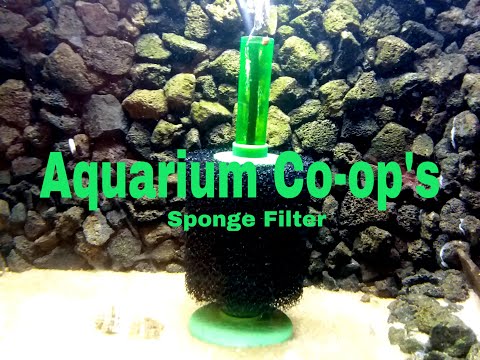 Review of Aquarium