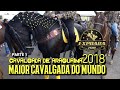 MAIOR CAVALGADA DO MUNDO 2018 - Cavagada  de Araguaína parte 1