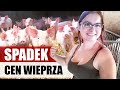 Wiejska dniówka#6 Spadek ceny wieprza??! / Wywalanie obornika DZIEWCZYNA Z AGRO Vlog#8