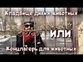 Карагандинский Зоопарк | Роман с историей.