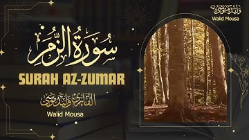 تلاوة خاشعة تبعث الطمأنينة | سورة الزمر Surah Az-Zumar | صوت رخيم يهز القلوب Peaceful Quran