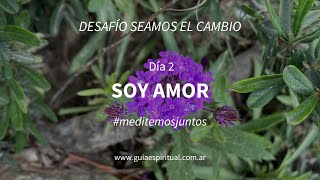 SOY AMOR - Desafío &quot;Seamos el cambio&quot;