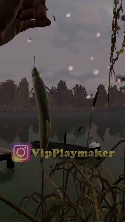 How To Catch Golden Shiner Fishing Planet CATCH GOLDEN - EMERALD LAKE SHINER #fishing #fishingplanet #