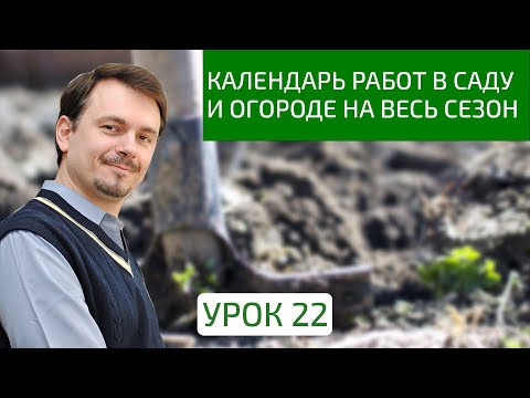 Видео: Уборка урожая для начинающих: сбор урожая в саду для садоводов-новичков