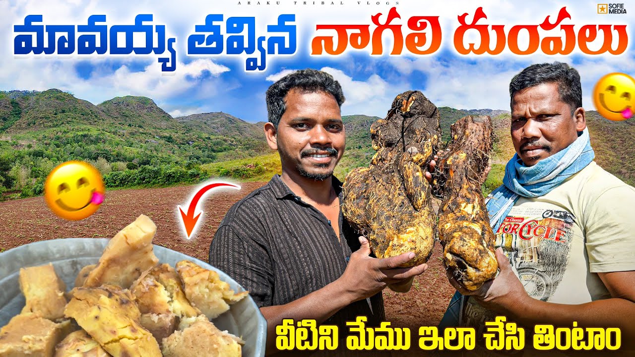 వీటికోసం కొండక్కి వెళ్ళాం😳ఇంత ఎక్కువ🙆అంత పెద్దవి🤔ఉంటాయి అనుకోలేదు|| Araku Tribal Vlogs ❤️🌱