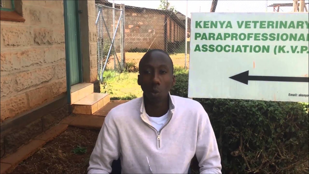 Interview with a veterinary paraprofessional in Kenya part 1 YouTube