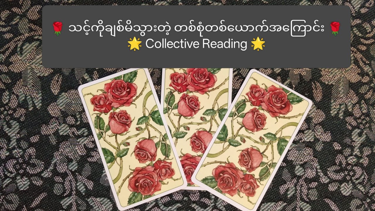 🌹 သင့်ကိုချစ်မိသွားတဲ့ တစ်စုံတစ်ယောက်အကြောင်း 🌹✨ Collective Reading ✨