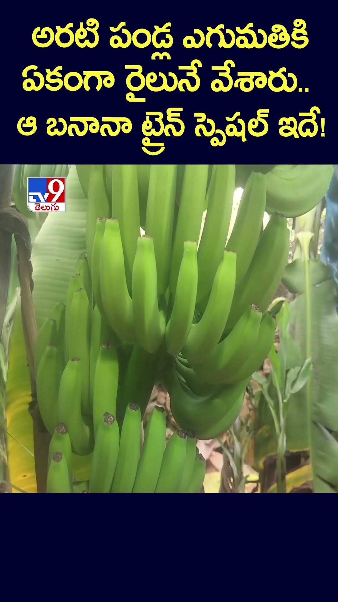 అరటి పండ్ల ఎగుమతికి ఏకంగా రైలునే వేశారు.. ఆ బనానా ట్రైన్ స్పెషల్ ఇదే! - TV9