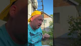 #видео #блог #подпишись