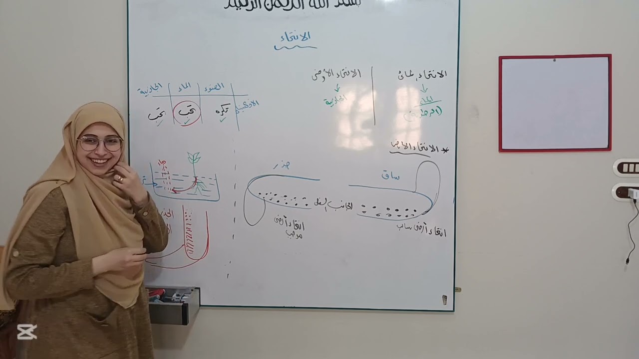 شرح الانتحاء المائي و الأرضي (الاحساس في النبات) || أحياء تانية ثانوي 2025