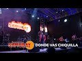 Donde Vas Chiquilla (En Vivo) Grupo Samuray