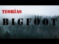 Bigfoot o Pie Grande - 5 teorías - ¿Descendientes de gigantes? - Criptozoologia