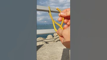 Đừng hối hận mà cứ xem trước đi đã