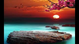 Afro house & 3Step Mixtape May 2024 - Mixed by Mciks