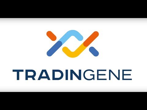 Tradingene: company introduction