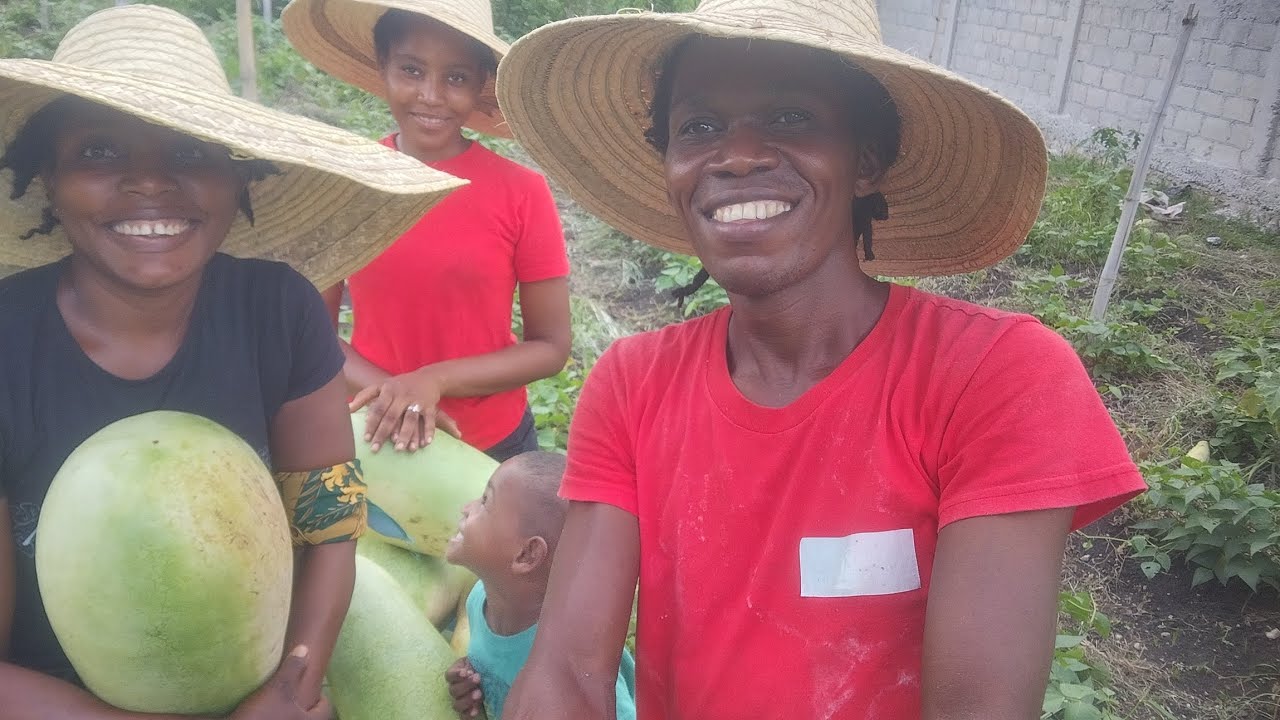 Vin gade melon kap gaspiye nan peyizan milyonè e wap tou aprann plante melon