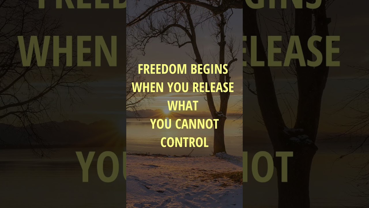 The Art of Letting Go: The Stoic Way 