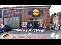 Grocery shopping in German Supermarket | Lidl | Prices, Tips, Easy German Translation | BB Vlogs