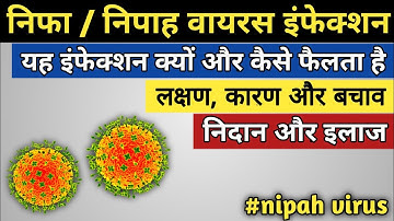 निपाह वायरस इंफेक्शन के लक्षण, कारण, इलाज || nipah virus kaise failta hai || nipah virus infection