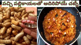 Pachi Palli Karam in Telugu-పచ్చి పల్లికాయలతో అదిరిపోయే చట్నీ/Palli Karam Recipe/Raw Peanut Chutney