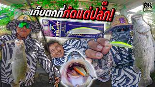 รอดมาได้เพราะเหยื่อตัวนี้... วันเก็บตกที่กัดแค่ปลั๊ก!!! [ JJ FishingPark ] #pkfishing screenshot 5