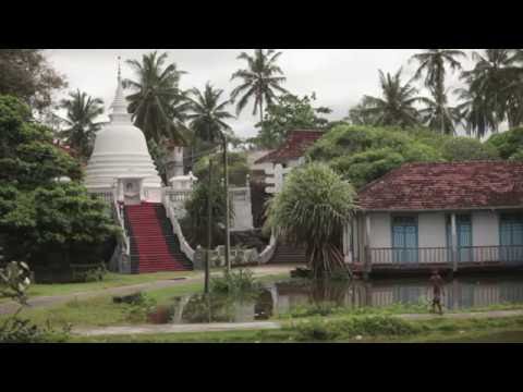Video: Entdecken Sie Die Besten Strände Sri Lankas