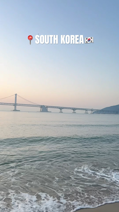 6 A.M run in Busan, South Korea 🇰🇷 #beach #travel #asiantravel #busan #southkorea