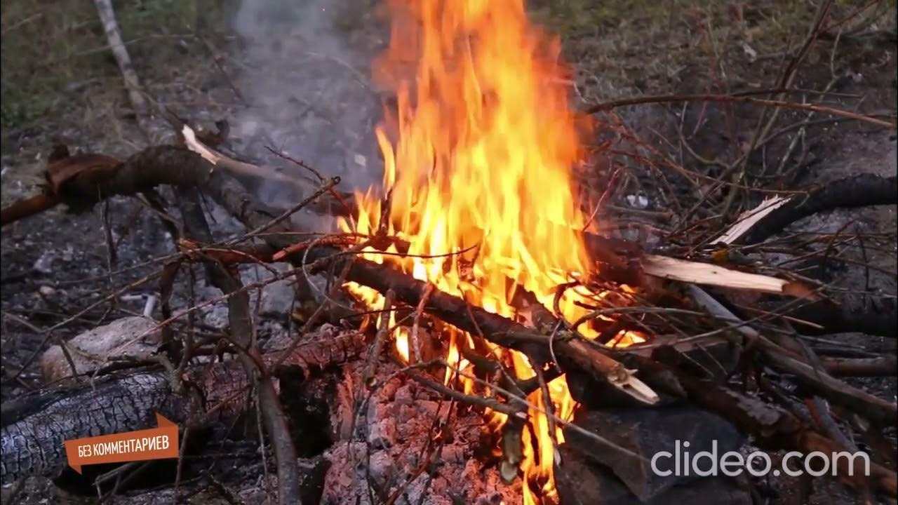 Догорела догорела давно. Последним костром догорает эпоха и мы. Светало костер догорал над рекою. Костеы догорели. Ещё чуть-чуть и догорят войны пожары.