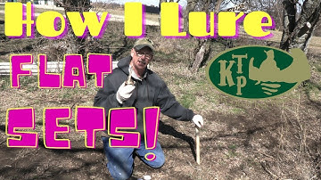 Coyote Trapping; How I Lure My Flat Sets