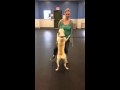 Hooper Jumps on People (Before Training)