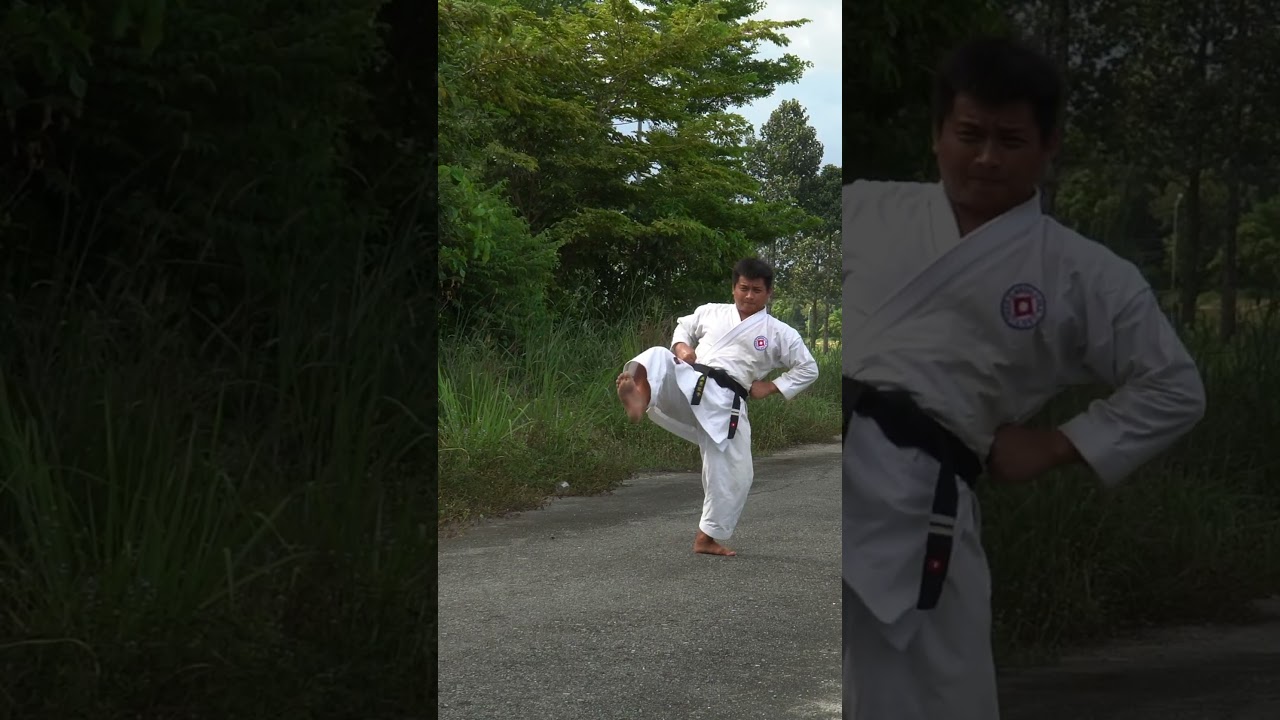 Some supplementary exercises of Heian Sandan Karate  
