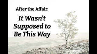 After the Affair: It Wasn&#39;t Supposed to be This Way