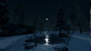 Snow forest  - Unity