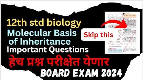 12th std Biology Molecular basis of Inheritance important questions what to study HSC 2024