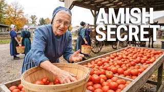 How Amish Grow Tomatoes That Produce 100 Pounds Per Plant | The Amish Life