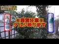 【寝付けぬ痒み】チャドクガ毒針毛固着剤 vs 髪の毛固着剤