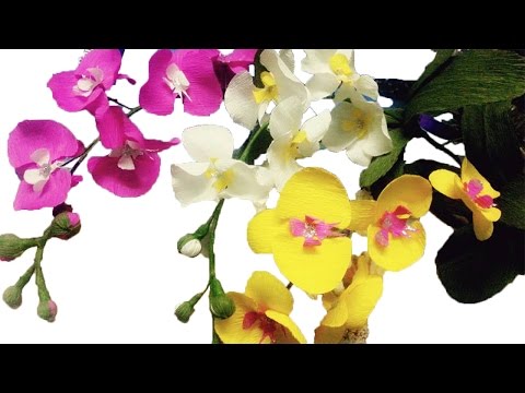 How to make Orchids paper flowers – Cách làm hoa lan hồ điệp từ giấy nhún | Foci